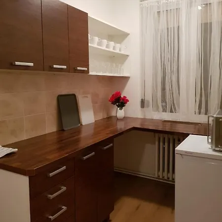 Apartmán City *